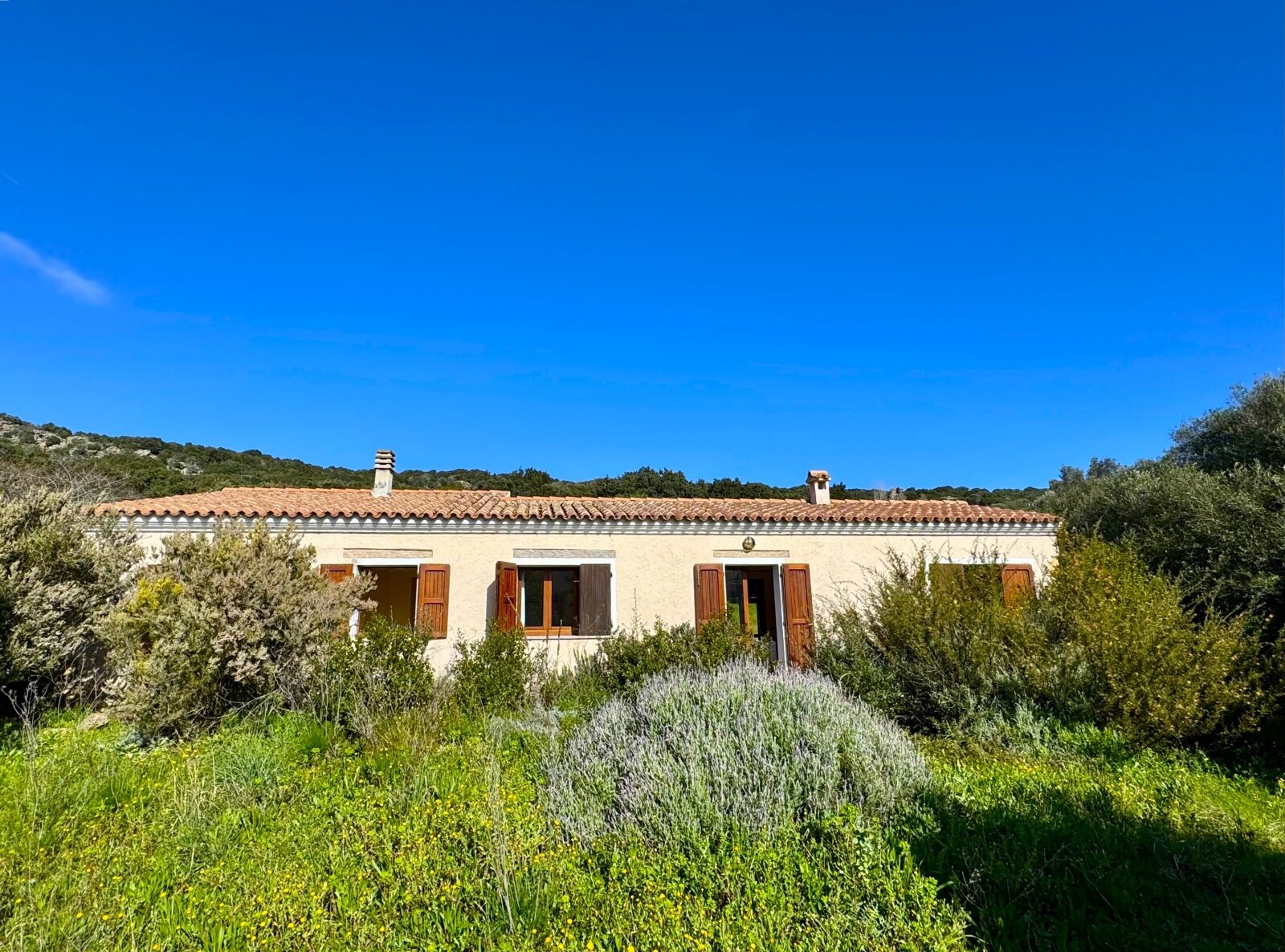 Restauriertes Stazzo in San Biago, 15 min bis zum Meer  Restauriertes Stazzo in San Biago, 15 min bis zum Meer