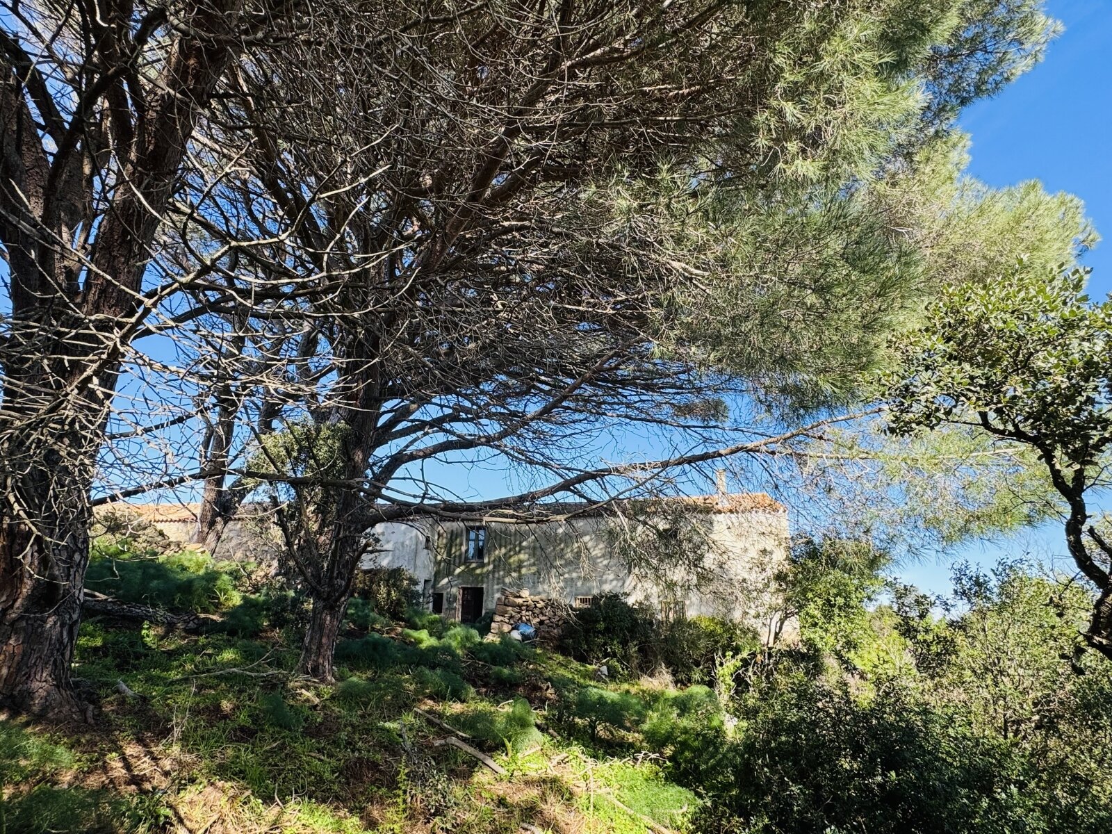 Stazzo Montinieddu Stazzo Montinieddu