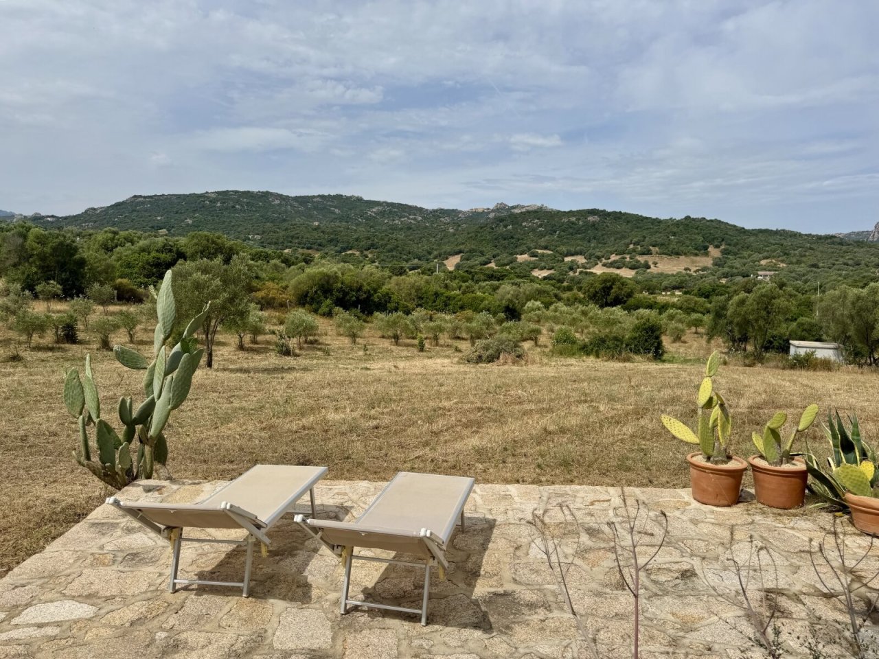 Blick gen Westen Blick gen Westen