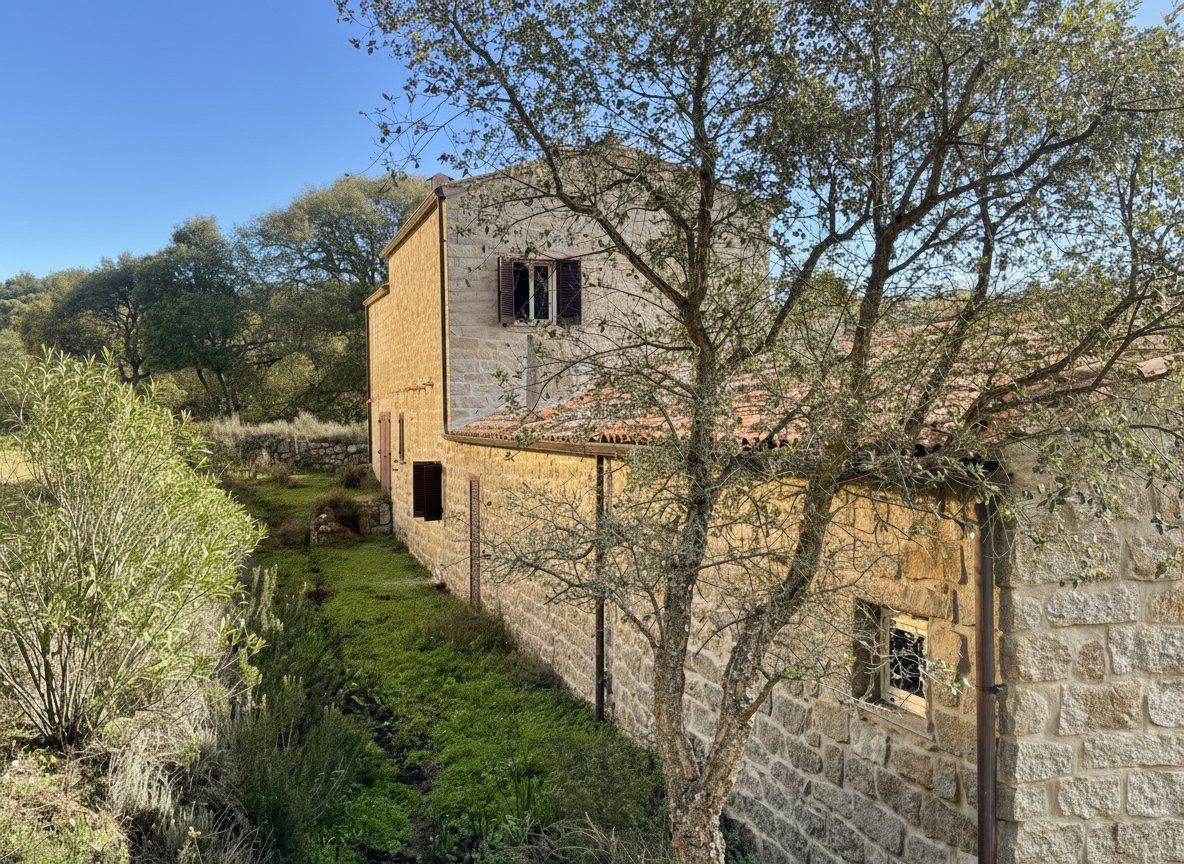 Absolute silence, 13 hectares, cork oaks