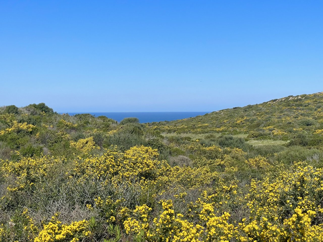 Grundstück, Cala Sarraina, Vignola, Meerblick Grundstück, Cala Sarraina, Vignola, Meerblick
