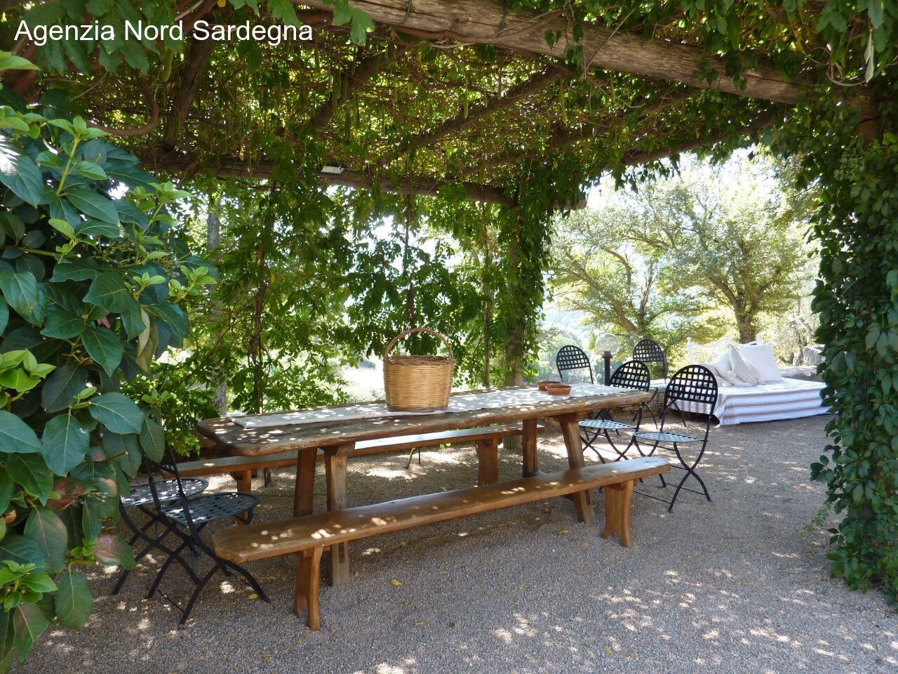 Pergola Pergola