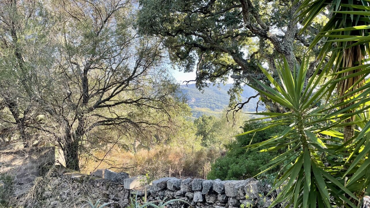 Garten vor dem Haus, Luogosanto