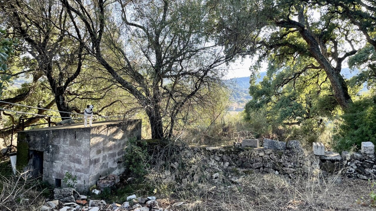 Garten vor dem Haus, Luogosanto Garten vor dem Haus, Luogosanto