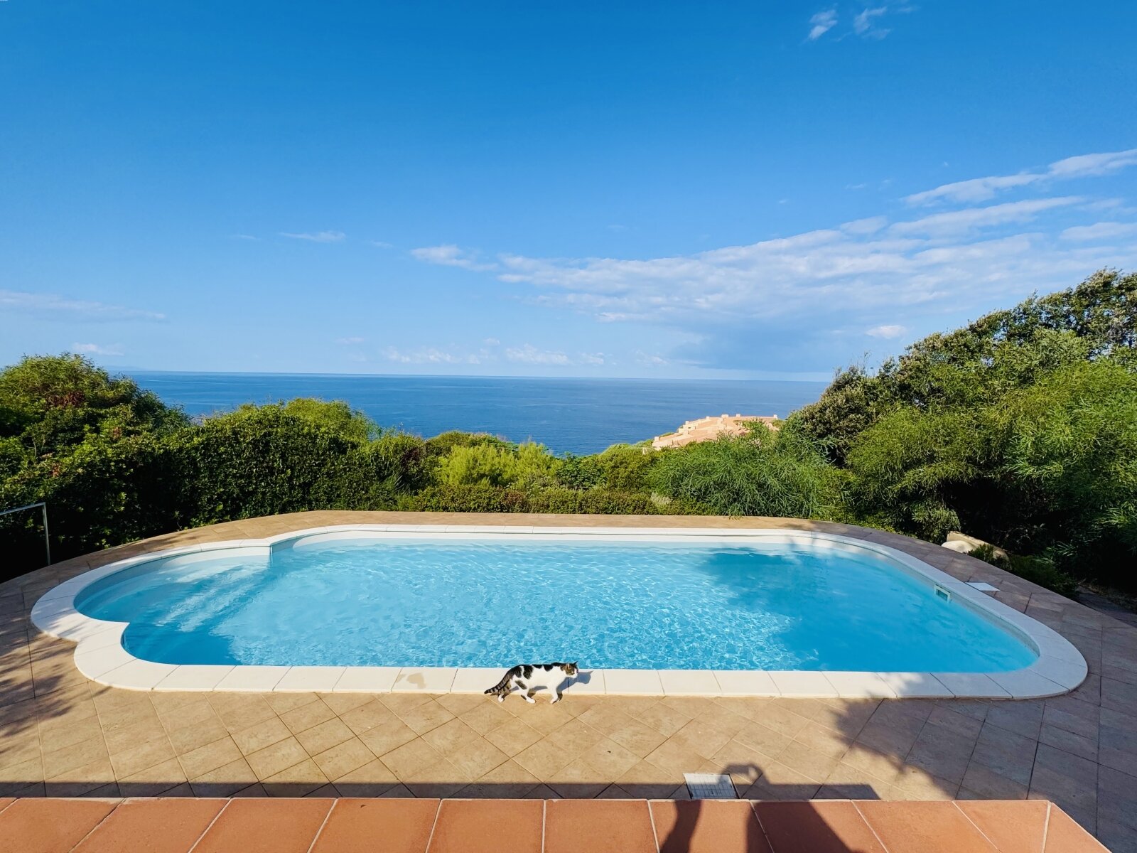Exclusive sea view paradise: pool with breathtaking panoramic view of the horizon! Exclusive sea view paradise: pool with breathtaking panoramic view of the horizon!