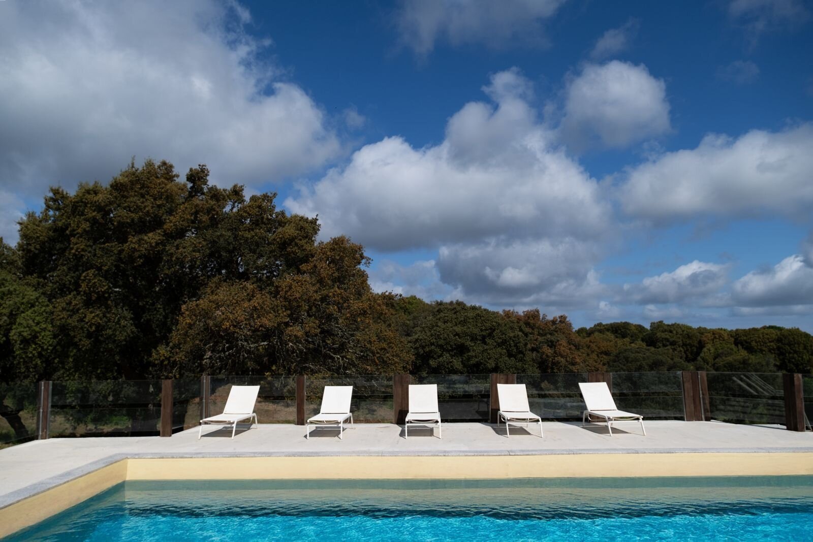 Exclusive pool area with privacy - your private wellness oasis amidst lush nature