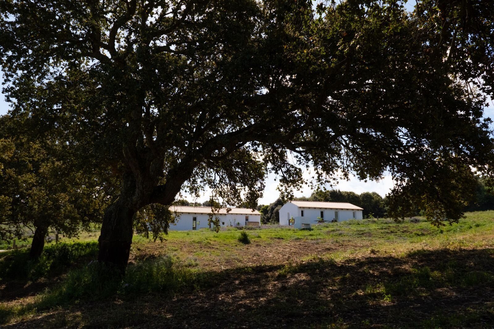 Nature-connected country house with majestic oak – your retreat between openness and shade