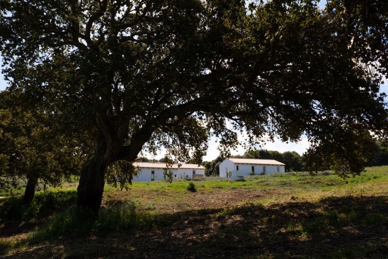 Nature-connected country house with majestic oak – your retreat between openness and shade