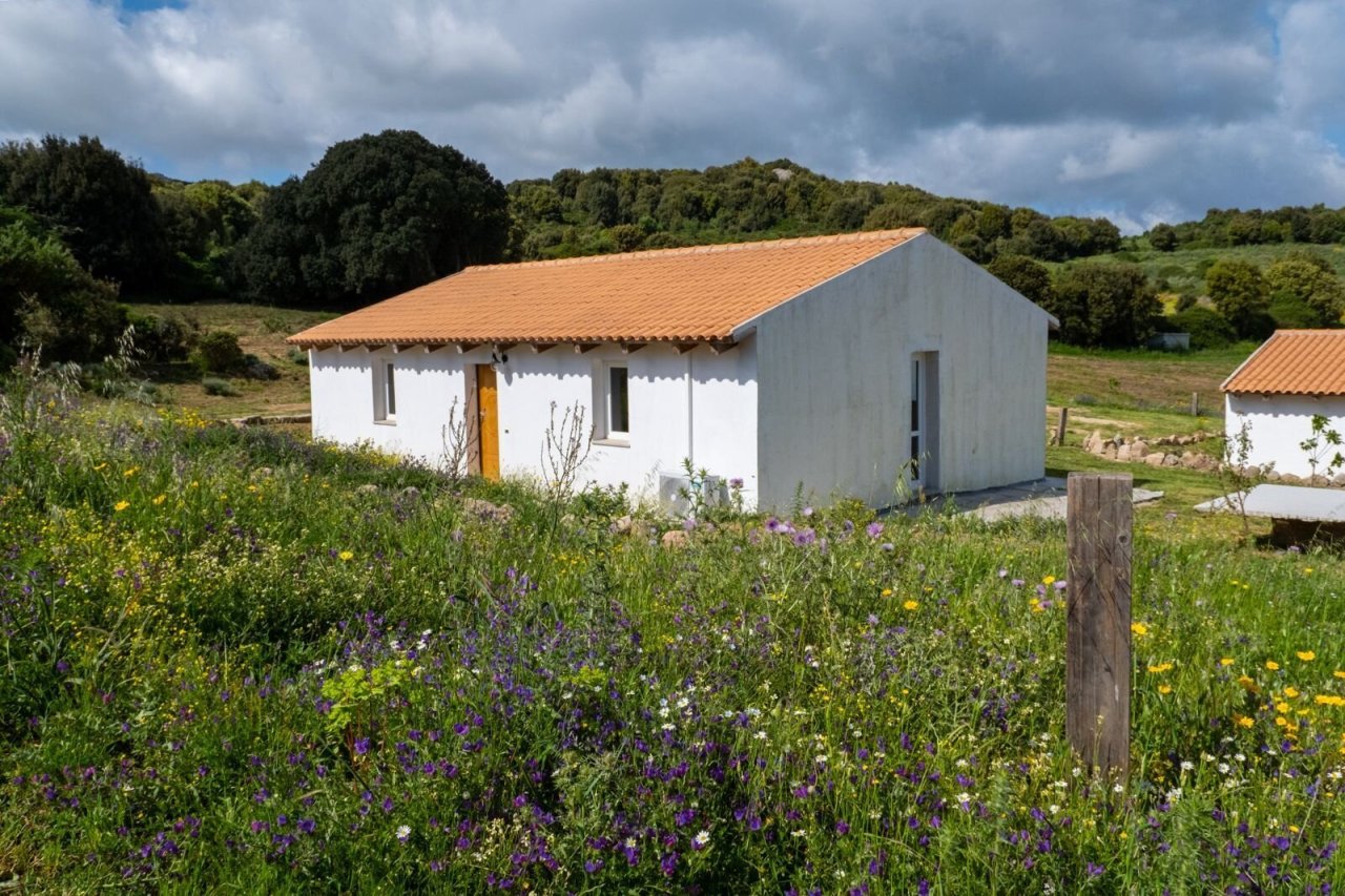 Naturalistic new build idyll: Compact single-family house with Mediterranean charm in a dreamlike flower meadow setting