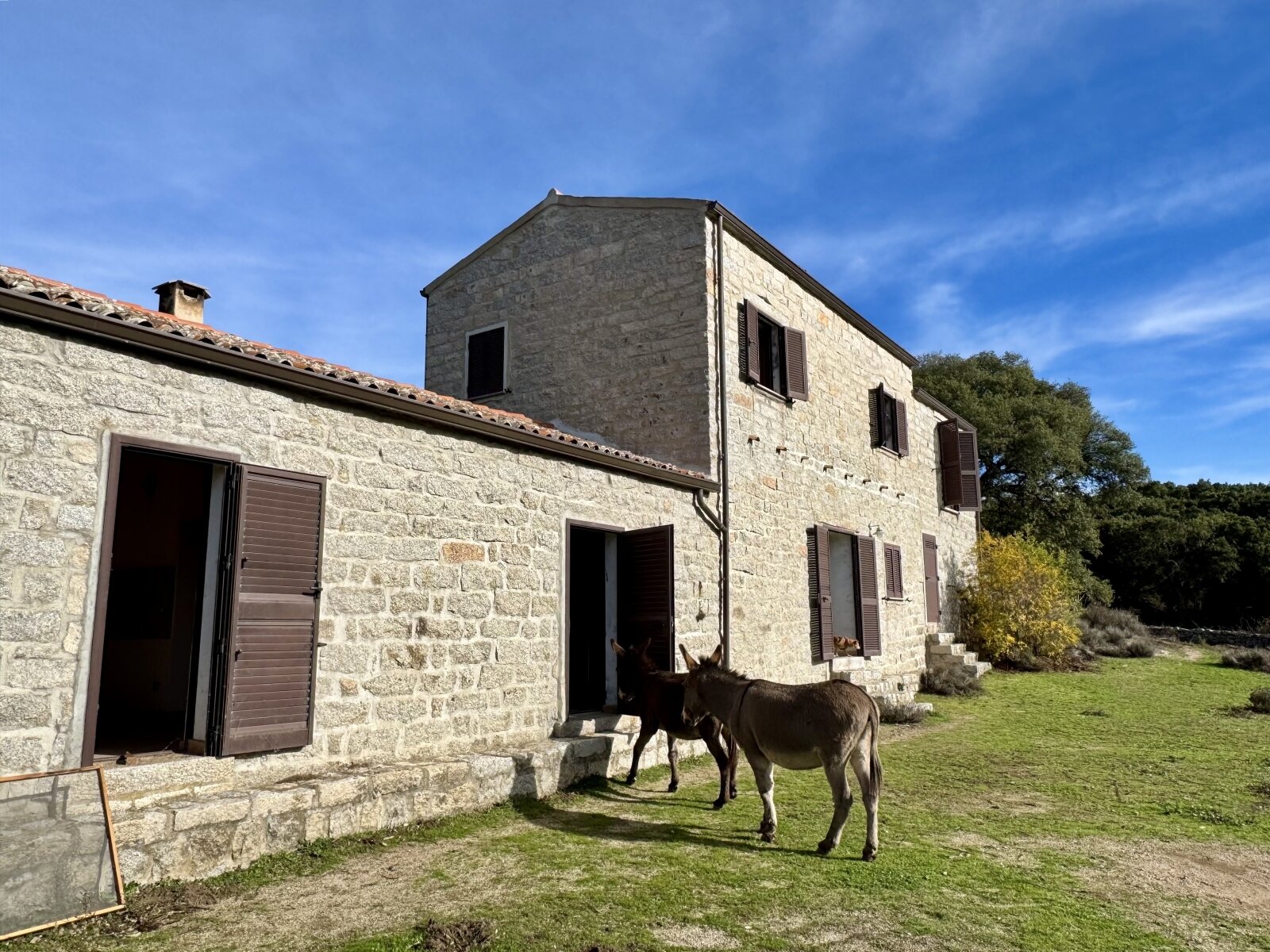 Vorderseite Stazzo bei Tempio