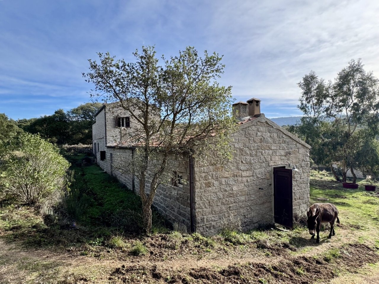 Rückseite, großes Stazzo bei Tempio