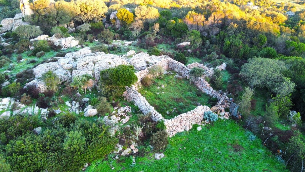 WhatsApp Image 2025-12-14 at 17.28.07