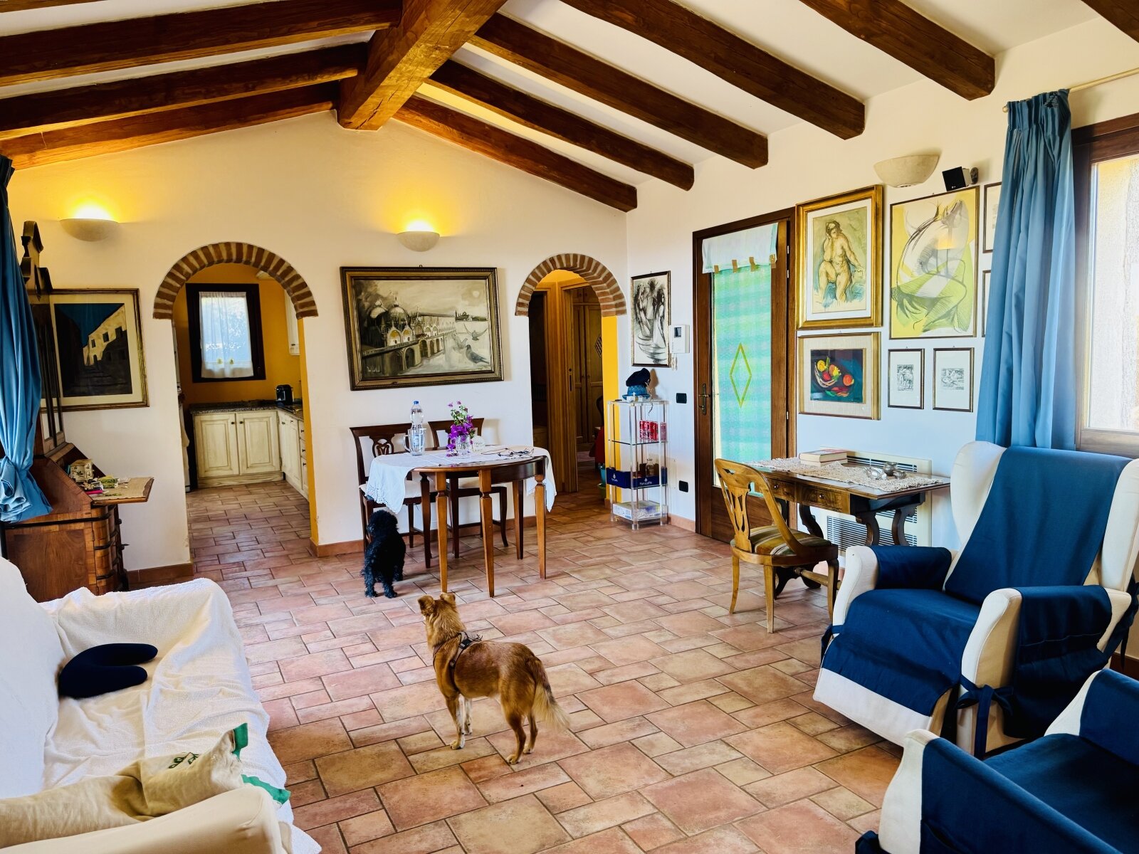 Splendido proprietà nella Gallura con casa per gli ospiti, vista mare e privacy assoluta