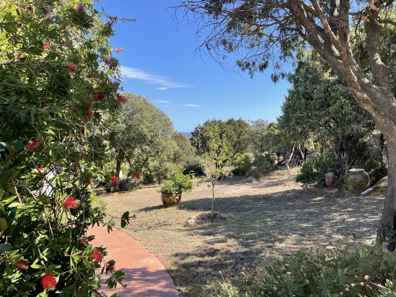 Garten Garten