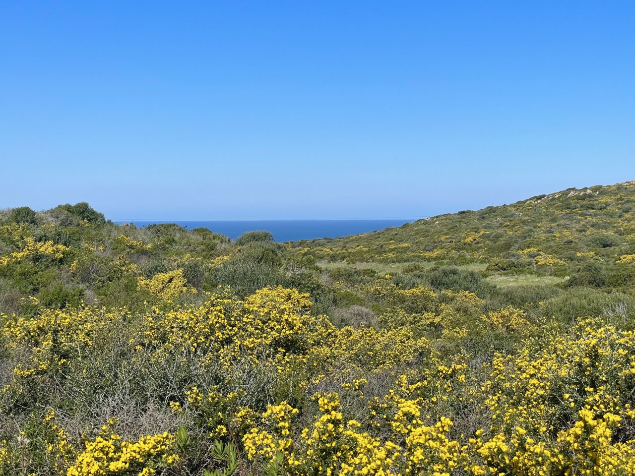 Grundstück, Cala Sarraina, Vignola, Meerblick