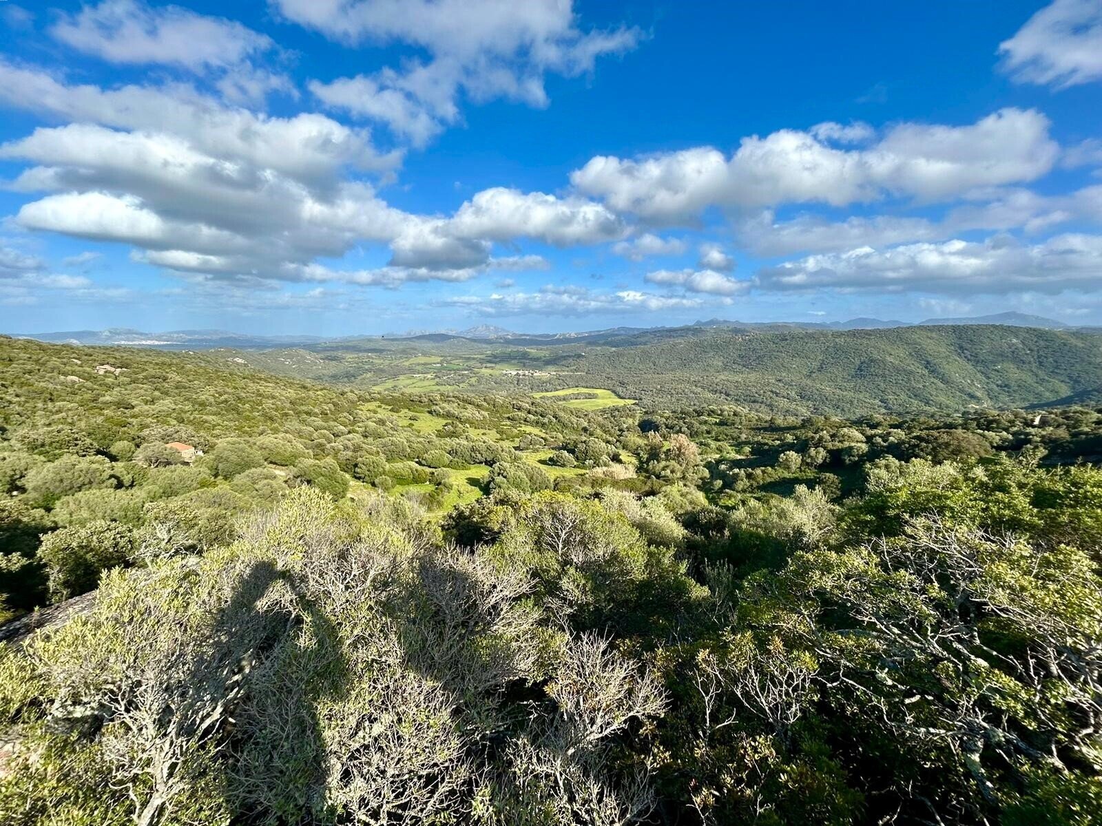 Casa Ginepro, La China, Luogosanto
