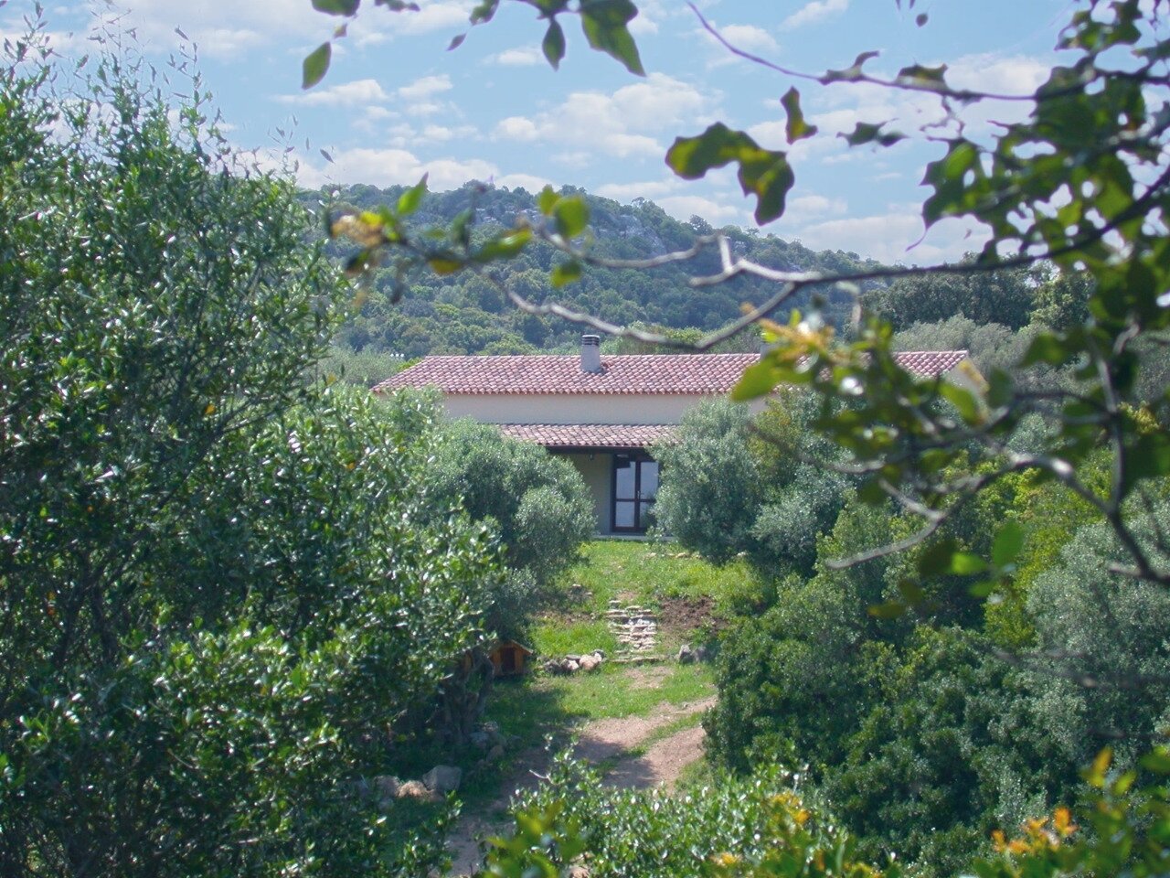Casa Ginepro, La China, Luogosanto