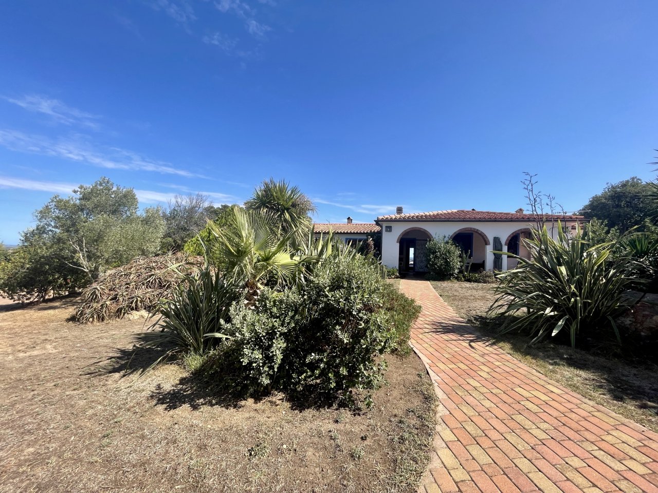 Immobiliare da sogno mediterranea con vialetto in mattoni dritto e giardino esotico Immobiliare da sogno mediterranea con vialetto in mattoni dritto e giardino esotico