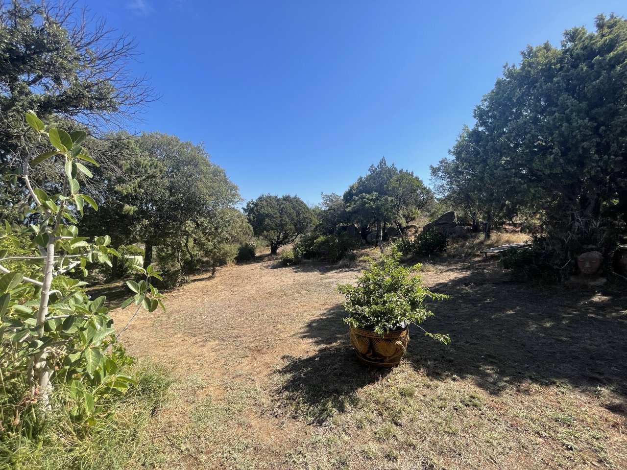 Terreno edificabile naturale con fascino mediterraneo - la vostra casa da sogno tra ulivi e cielo azzurro! Terreno edificabile naturale con fascino mediterraneo - la vostra casa da sogno tra ulivi e cielo azzurro!