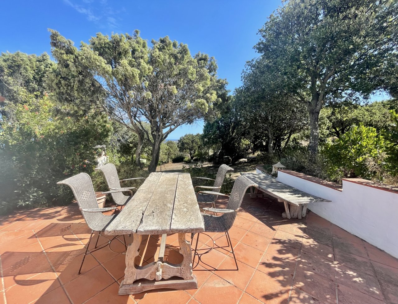 Terrazza sul tetto mediterranea con area salotto in pietra naturale e rigoglioso albero - il vostro rifugio di pace con vista panoramica! Terrazza sul tetto mediterranea con area salotto in pietra naturale e rigoglioso albero - il vostro rifugio di pace con vista panoramica!