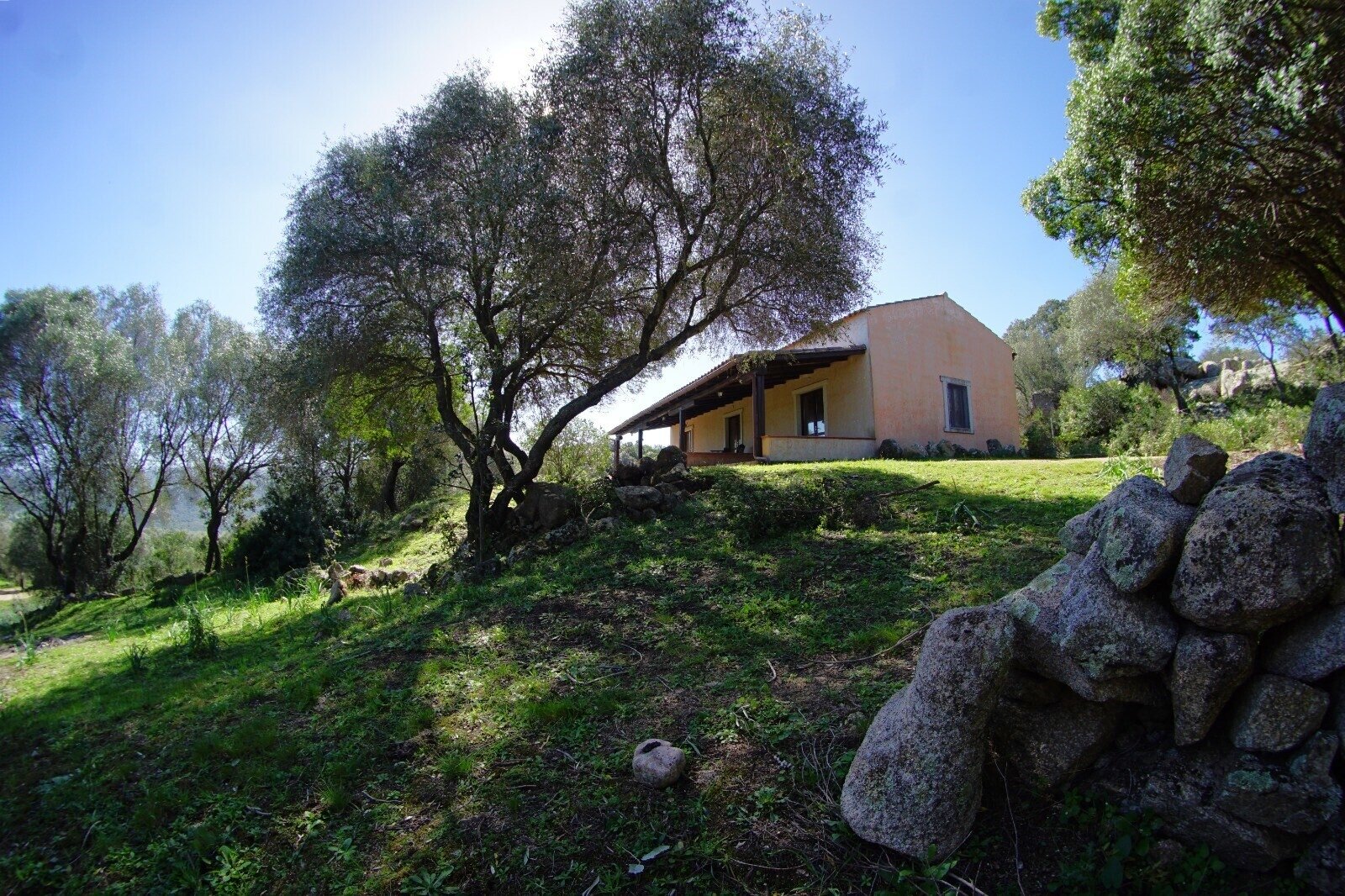 La China, Casa Ginepro, Luogosanto