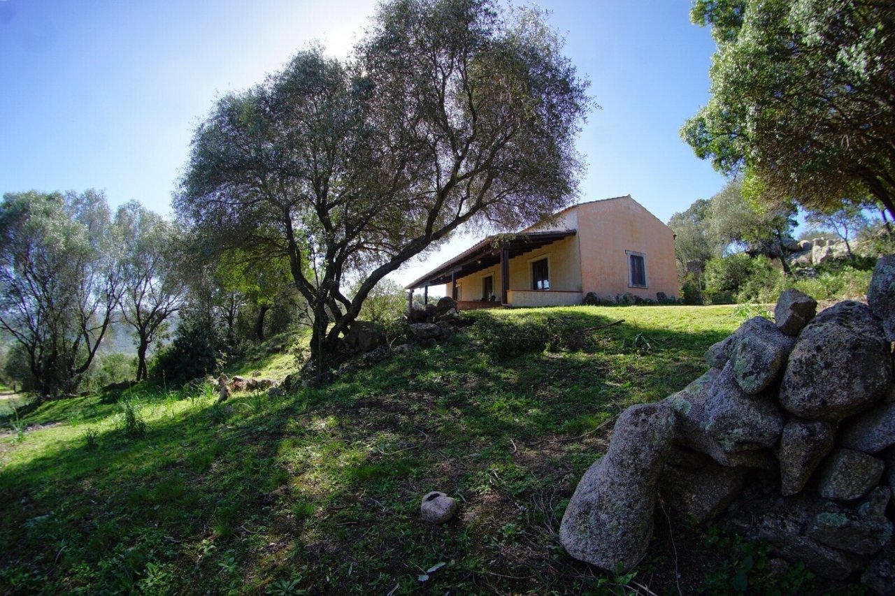 La China, Casa Ginepro, Luogosanto La China, Casa Ginepro, Luogosanto