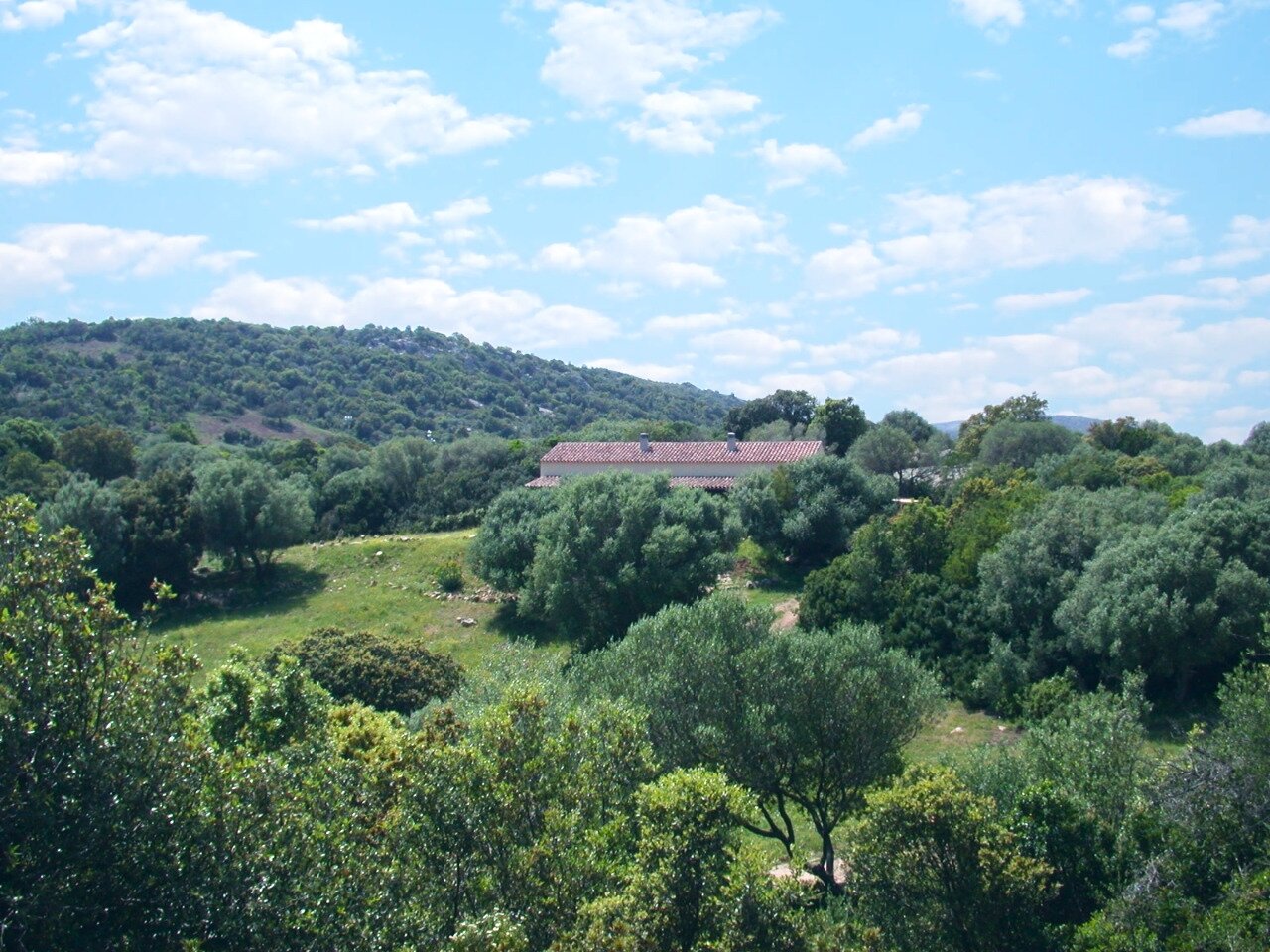 La China, Casa Ginepro, Luogosanto