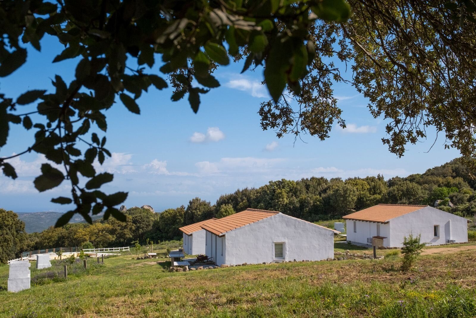 Ville di nuova costruzione idilliache con vista panoramica - paradiso naturale per vivere e rilassarsi!